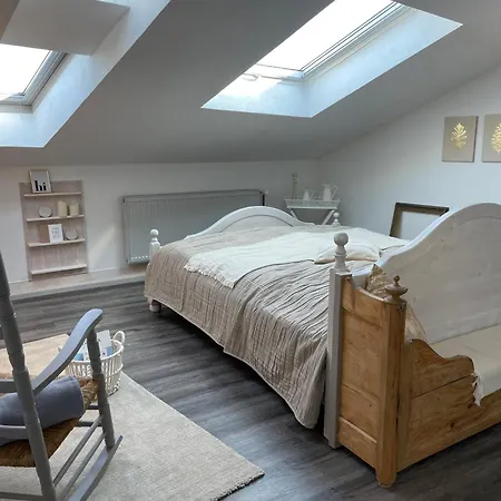 Altstadt-gaestehaus Mit Garten. Und Herz. Casa de Férias *